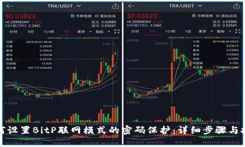 如何设置BitP联网模式的密码保护：详细步骤与技巧