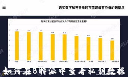 
如何在B特派中查看私钥数据