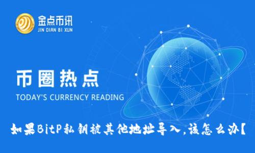如果BitP私钥被其他地址导入，该怎么办？