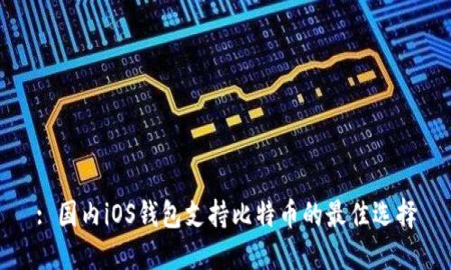: 国内iOS钱包支持比特币的最佳选择