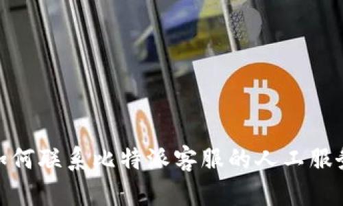 如何联系比特派客服的人工服务