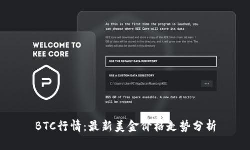 BTC行情：最新美金价格走势分析