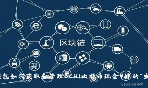 比特派钱包如何获取和管理BCH（比特币现金）中的“发糖”奖励