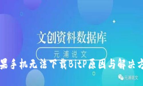 苹果手机无法下载BitP原因与解决方案