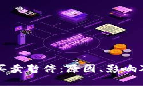 Bitp纯净买卖暂停：原因、影响及未来展望
