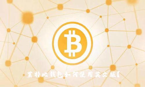 莱特比钱包如何使用英文版？