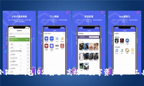 小狐狸钱包iOS：安全、高效的数字资产管理工具