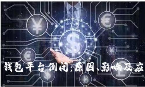 虚拟币钱包平台倒闭：原因、影响及应对策略
