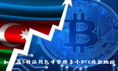 如何在B特派钱包中管理多个BTC收款地址