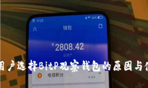 国内外用户选择BitP观察钱包的原因与使用教程