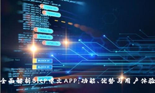 全面解析BitP中文APP：功能、优势与用户体验