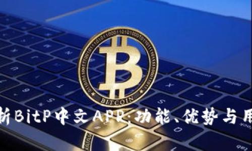 全面解析BitP中文APP：功能、优势与用户体验