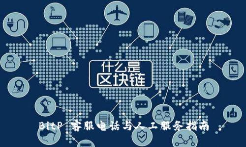 BitP 客服电话与人工服务指南
