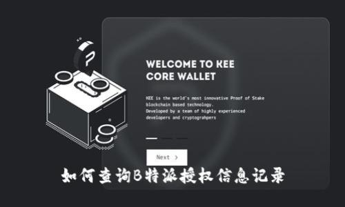 如何查询B特派授权信息记录