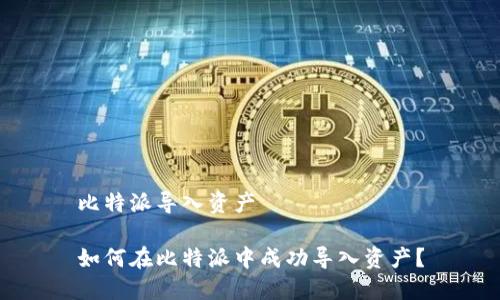 比特派导入资产

如何在比特派中成功导入资产？