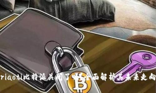 riaoti比特派关闭了吗？全面解析其未来走向