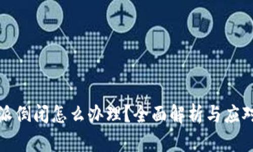 比特派倒闭怎么办理？全面解析与应对措施