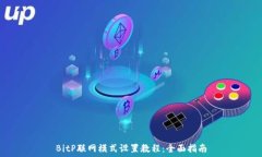   BitP联网模式设置教程：全面指南