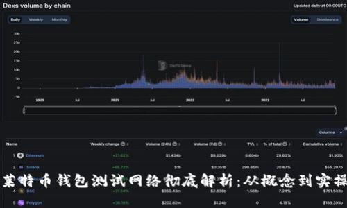 莱特币钱包测试网络彻底解析：从概念到实操