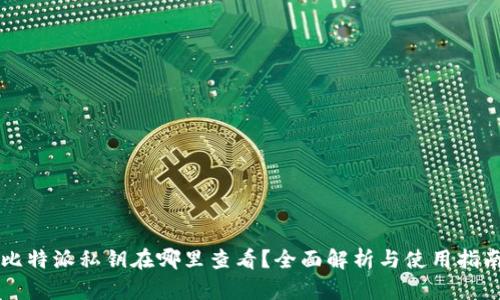 比特派私钥在哪里查看？全面解析与使用指南