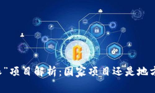 “B特派”项目解析：国家项目还是地方举措？