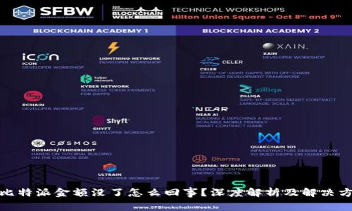 : 比特派金额没了怎么回事？深度解析及解决方案