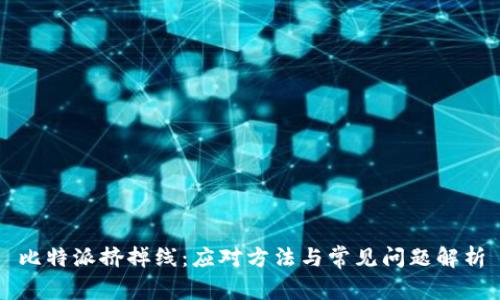 比特派挤掉线：应对方法与常见问题解析