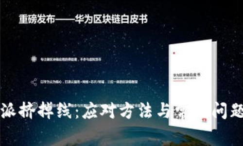 比特派挤掉线：应对方法与常见问题解析