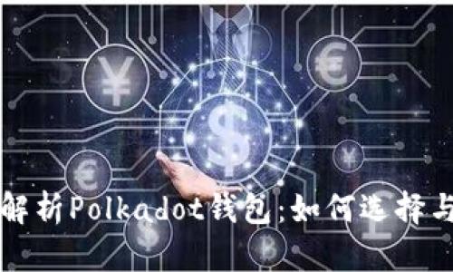 全面解析Polkadot钱包：如何选择与使用
