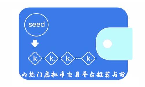 国内热门虚拟币交易平台推荐与分析