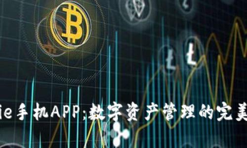 Bitpie手机APP：数字资产管理的完美伴侣