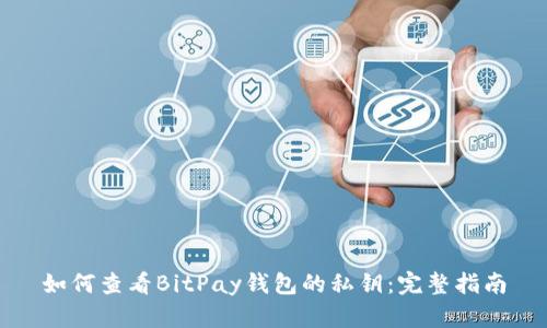 如何查看BitPay钱包的私钥：完整指南
