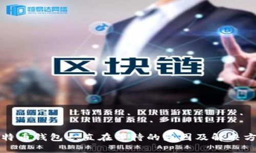 比特币钱包一直在等待的原因及解决方案