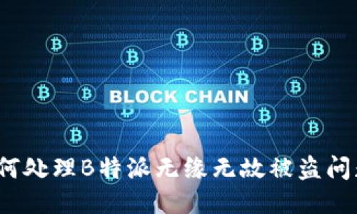 如何处理B特派无缘无故被盗问题？