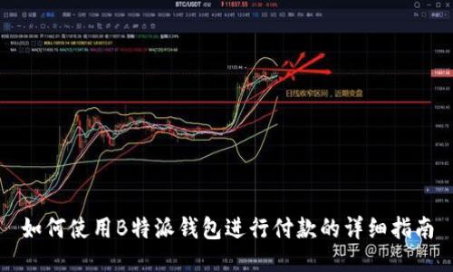 如何使用B特派钱包进行付款的详细指南