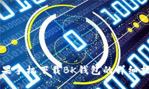 苹果手机下载BK钱包的详细指南