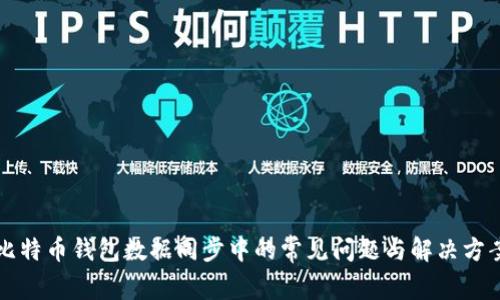 比特币钱包数据同步中的常见问题与解决方案