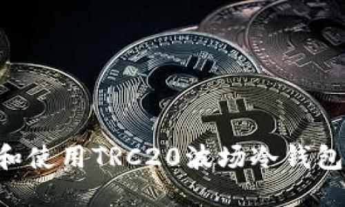 如何选择和使用TRC20波场冷钱包：全面指南
