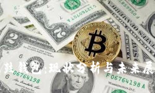 鼓鼓钱包：现状分析与未来展望