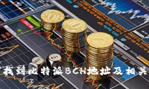 如何找到比特派BCH地址及相关信息
