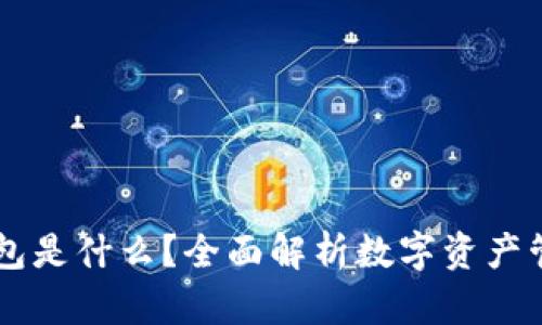 召币钱包是什么？全面解析数字资产管理工具