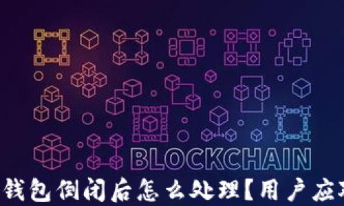 
b特派钱包倒闭后怎么处理？用户应对指南