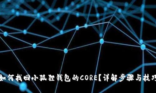如何找回小狐狸钱包的CORE？详解步骤与技巧