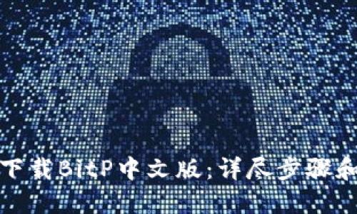 如何下载BitP中文版：详尽步骤和技巧