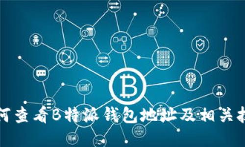 如何查看B特派钱包地址及相关技巧