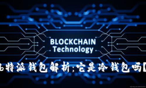  b特派钱包解析：它是冷钱包吗？ 