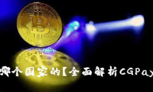 CGPay钱包是哪个国家的？全面解析CGPay的背景和功能