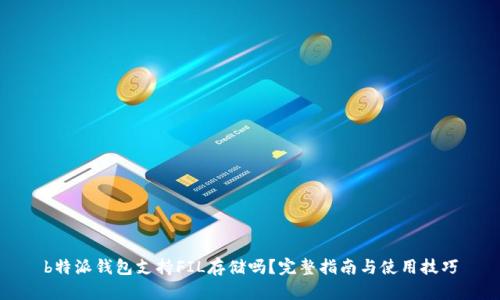 b特派钱包支持FIL存储吗？完整指南与使用技巧
