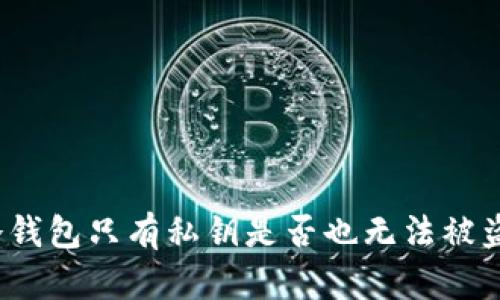 冷钱包只有私钥是否也无法被盗？