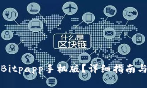 如何下载安装Bitpapp手机版？详细指南与常见问题解答
